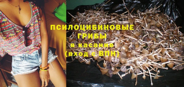 мескалин Михайлов